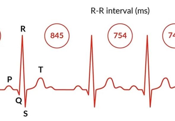 3r3xinv01j40jpm0ox8rn82e7l7vjy3o
