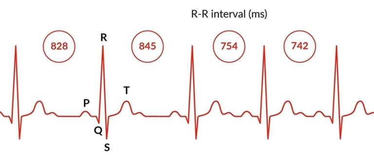 3r3xinv01j40jpm0ox8rn82e7l7vjy3o