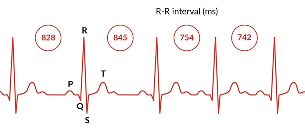 3r3xinv01j40jpm0ox8rn82e7l7vjy3o