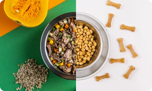 chim-goduvatu-sobaku-2