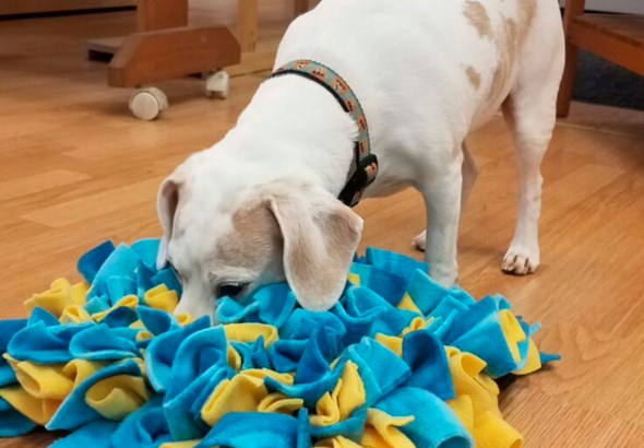 ZbsAWXPbJO9UpV0jKbSEVY2yrx1h32fC0iKcClFI